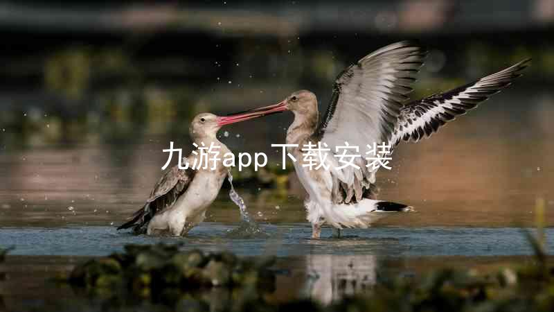 九游app下载安装